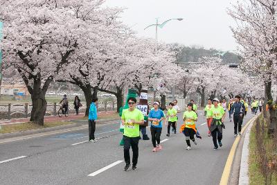 새만금 국제 마라톤대회