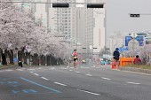 새만금 국제 마라톤대회사진(00051)