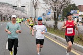새만금 국제 마라톤대회사진(00056)
