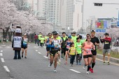 새만금 국제 마라톤대회사진(00061)