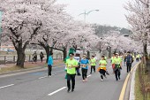 새만금 국제 마라톤대회사진(00062)