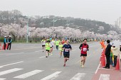 새만금 국제 마라톤대회사진(00066)