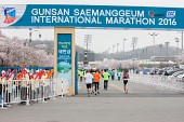 새만금 국제 마라톤대회사진(00068)