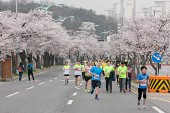 새만금 국제 마라톤대회사진(00069)