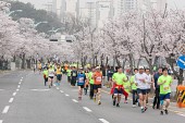 새만금 국제 마라톤대회사진(00070)
