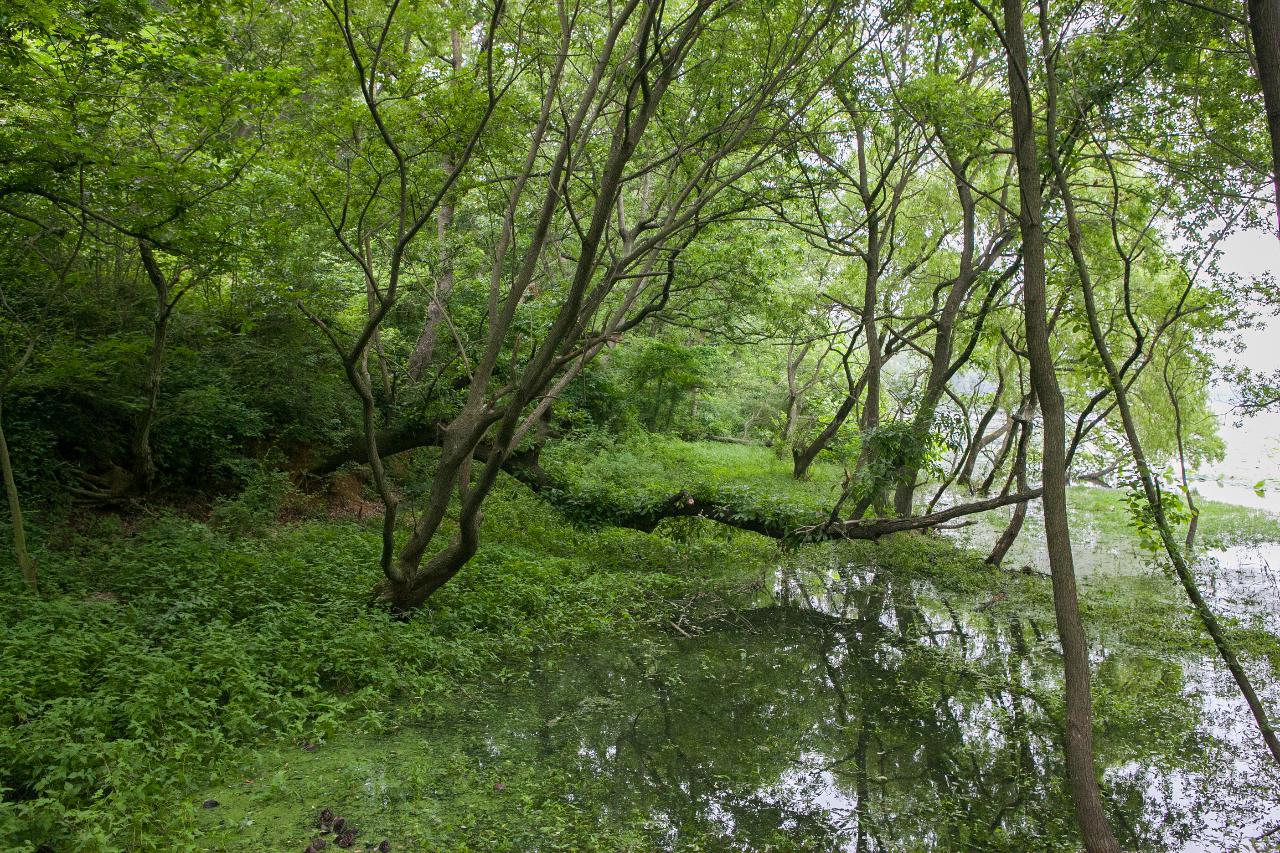 청암산 코스