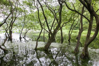 청암산 코스