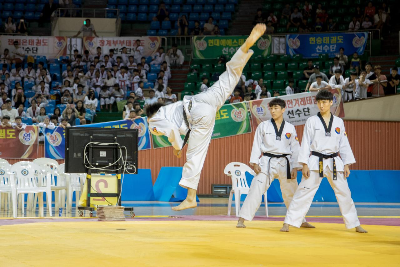 새만금배 전국 태권도 대회