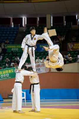 새만금배 전국 태권도 대회