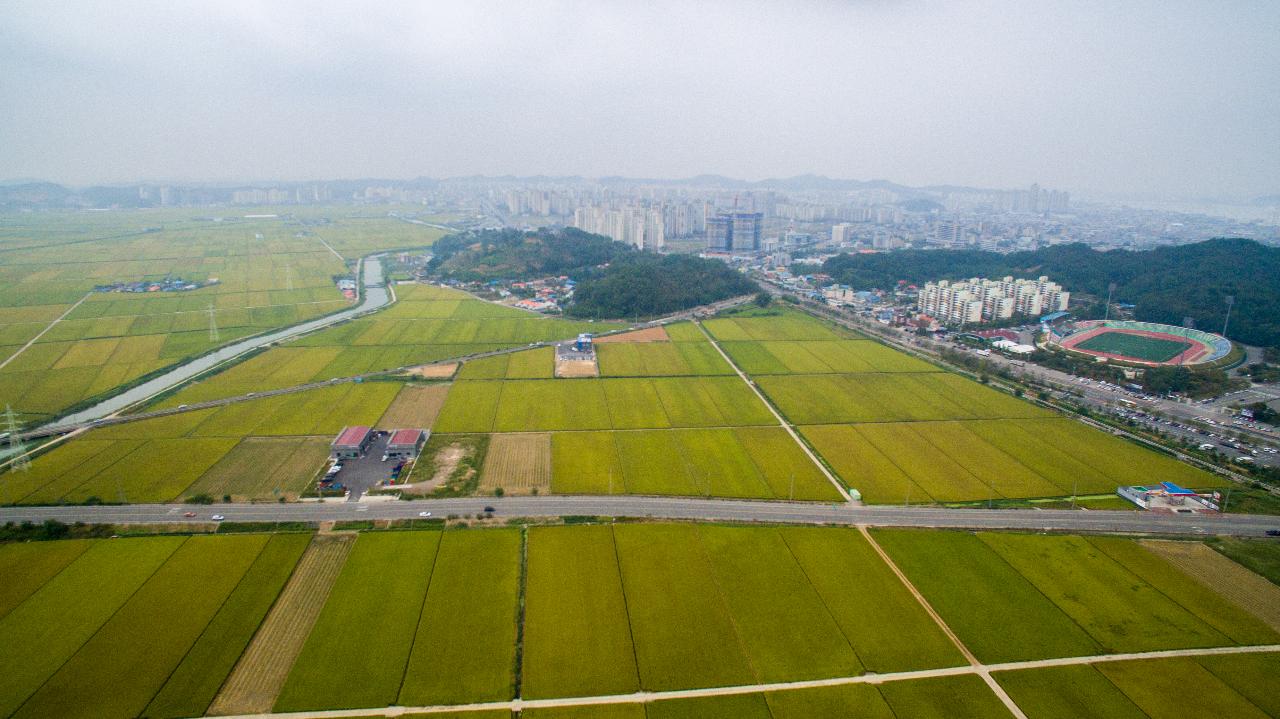 전북대학교병원 부지 드론 사진