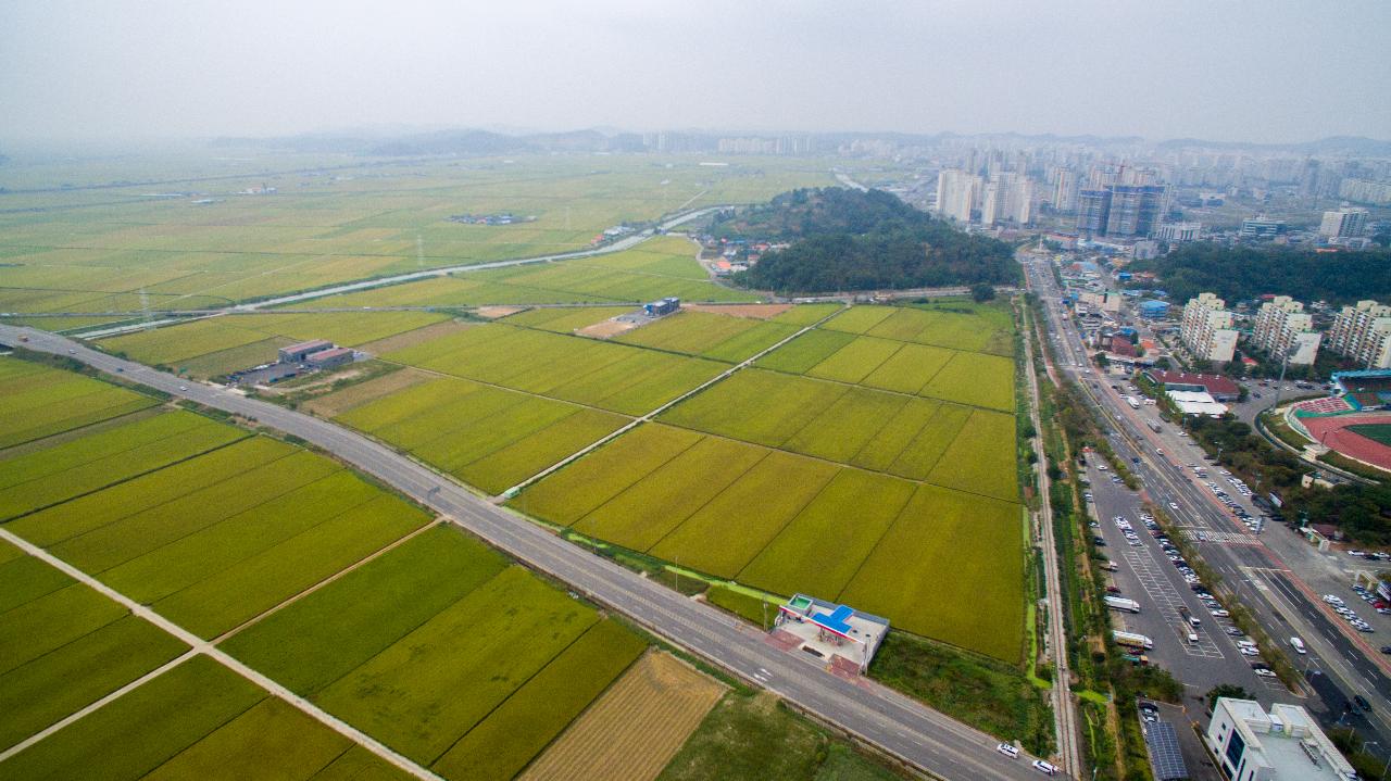 전북대학교병원 부지 드론 사진