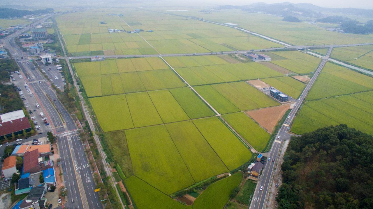 전북대학교병원 부지 드론 사진