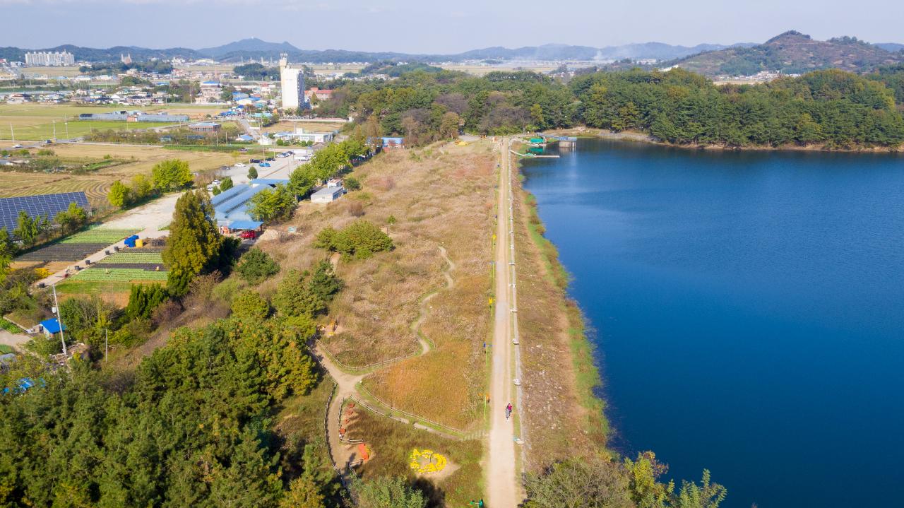 청암산 억새 드론 사진