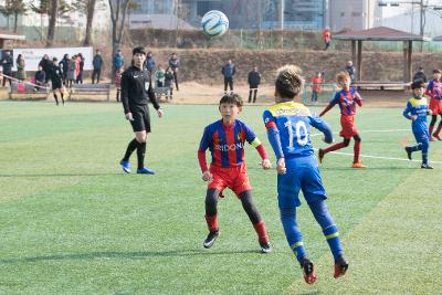 금석배 축구대회(초등부)