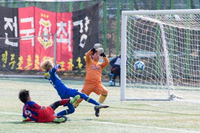 금석배 축구대회(초등부)