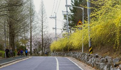 은파호수공원의 봄