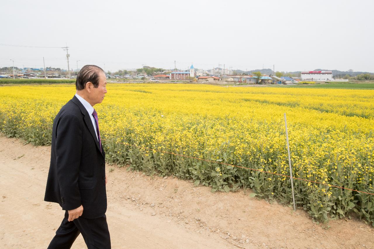 현장방문(꽁당보리축제장,플라즈마연구원,임피승화원)