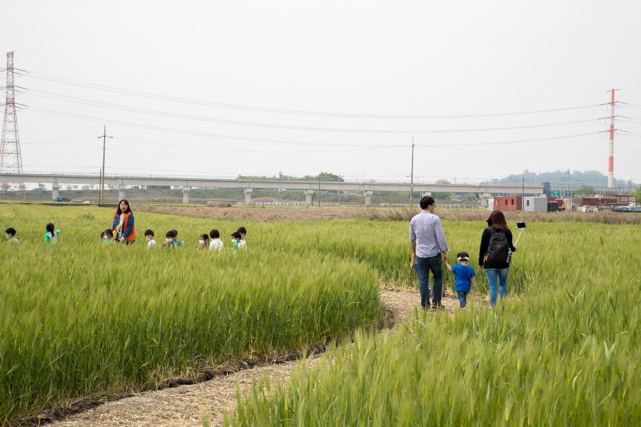 제12회 군산꽁당보리축제 개막식