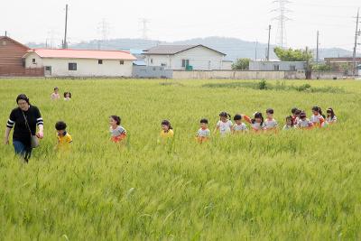 제12회 군산꽁당보리축제 개막식