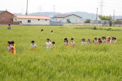 제12회 군산꽁당보리축제 개막식