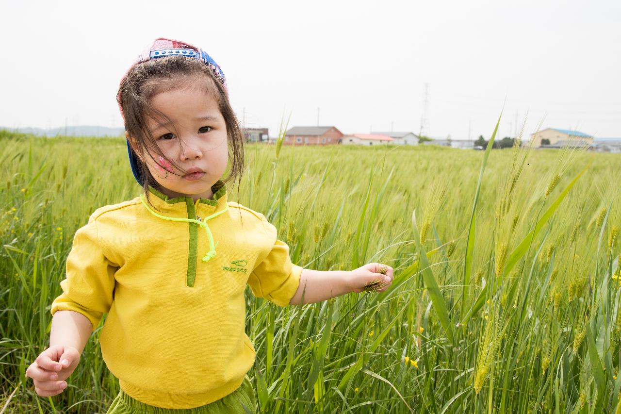 제12회 군산꽁당보리축제 개막식