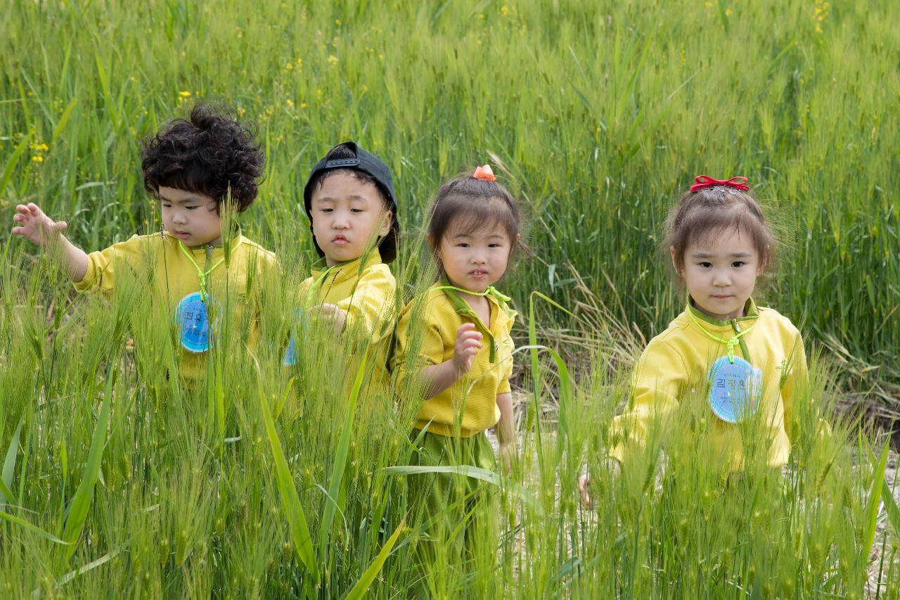 제12회 군산꽁당보리축제 개막식