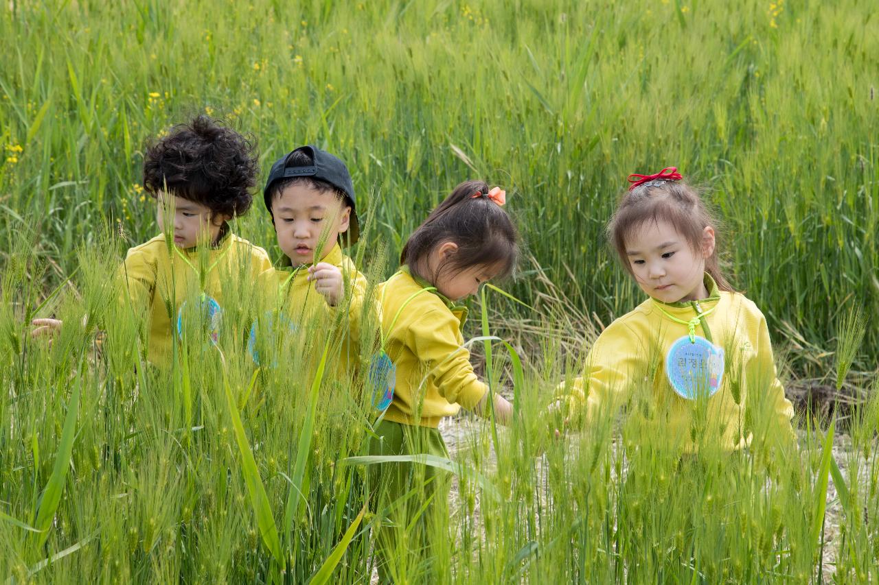 제12회 군산꽁당보리축제 개막식