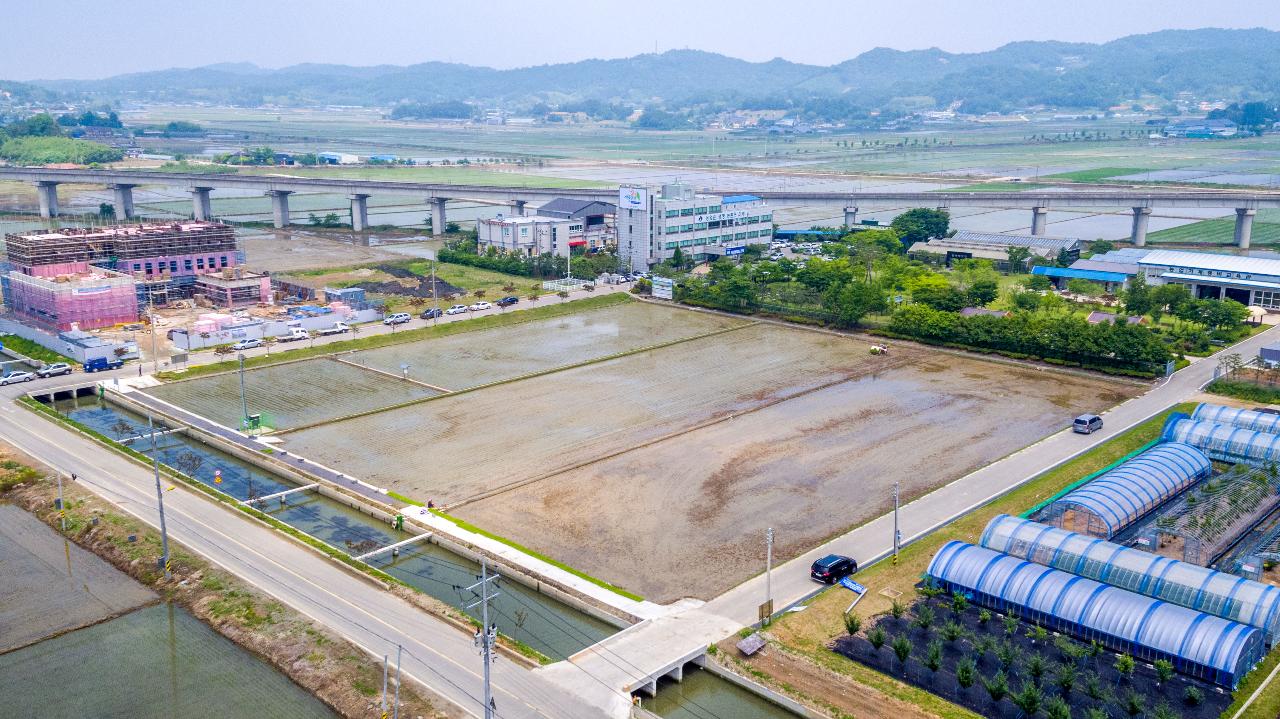 농업기술센터 모내기 작업