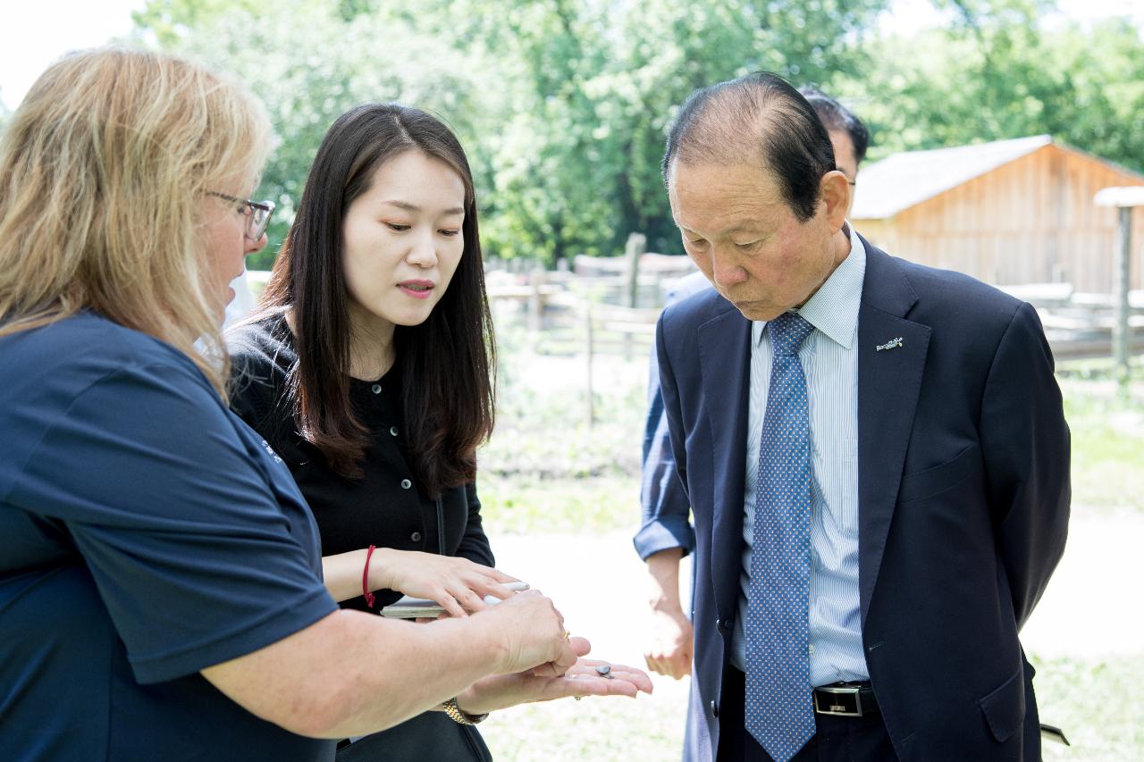 CN타워,블랙크릭 개척자마을(캐나다)