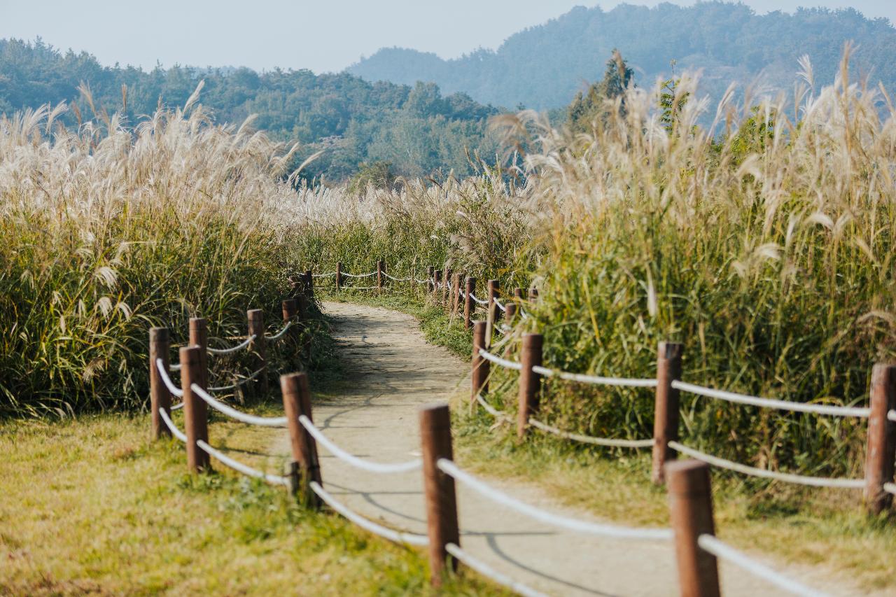 청암산 가을풍경