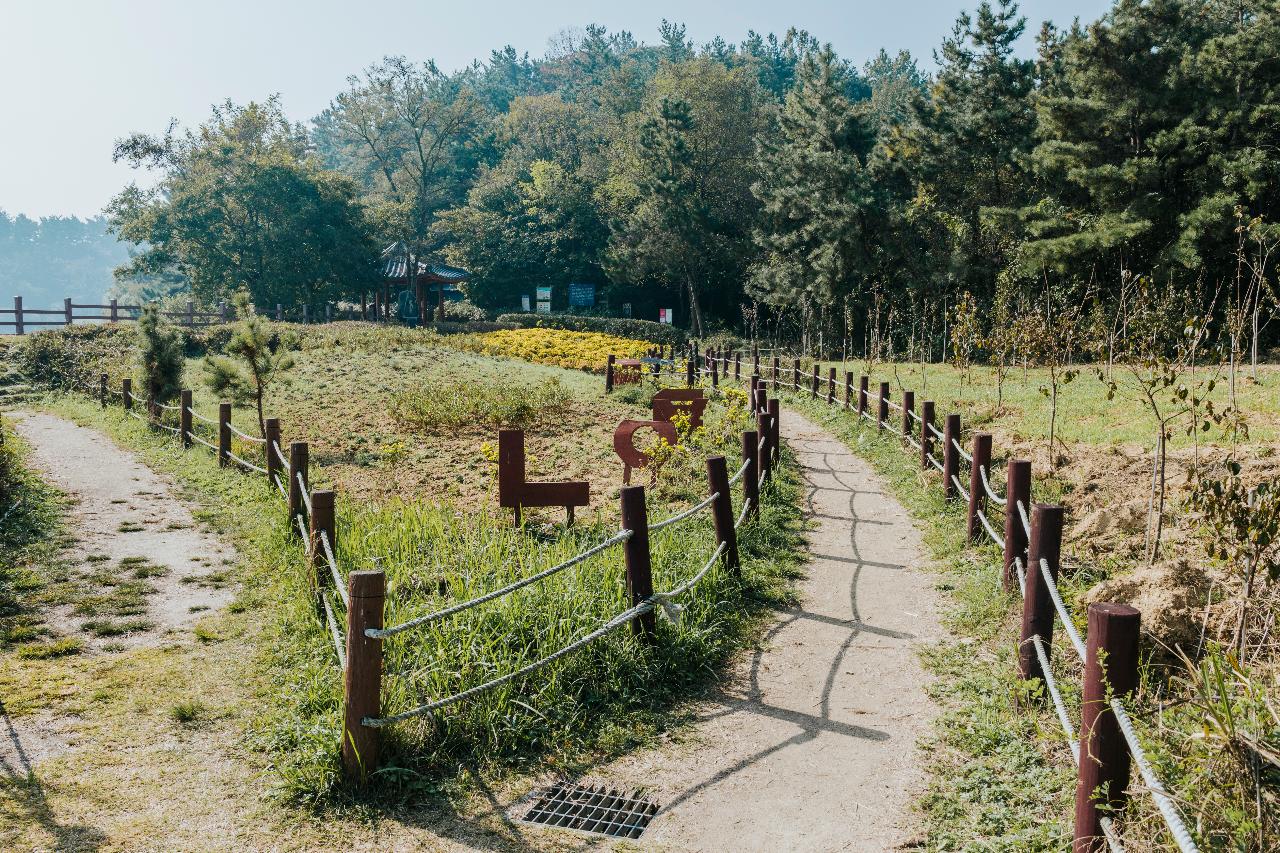 청암산 가을풍경