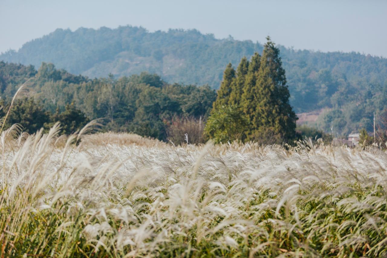 청암산 가을풍경