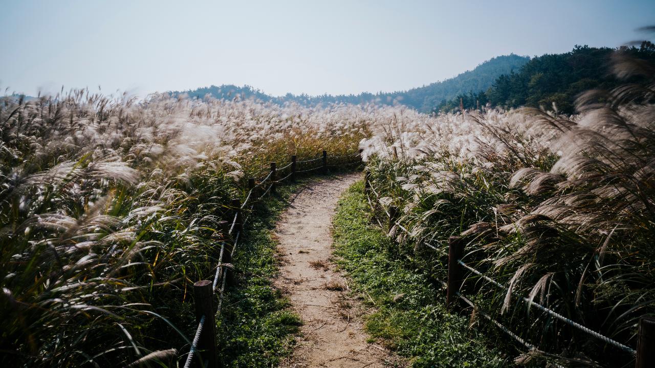 청암산 가을풍경