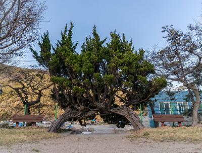 어청도 등대, 드론 사진