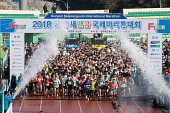 2018 군산새만금국제마라톤대회사진(00012)