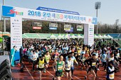 2018 군산새만금국제마라톤대회사진(00021)