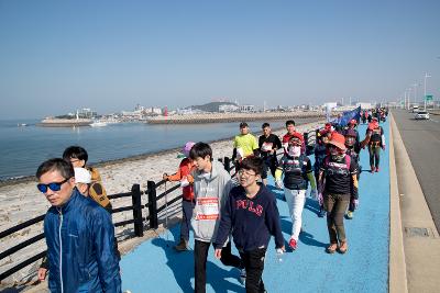 군산 새만금 전국 걷기대회