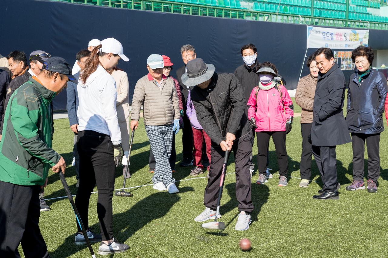 우드볼 보급을 위한 교육 시연회