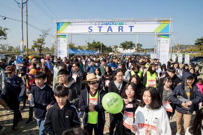 군산 새만금 전국 걷기대회