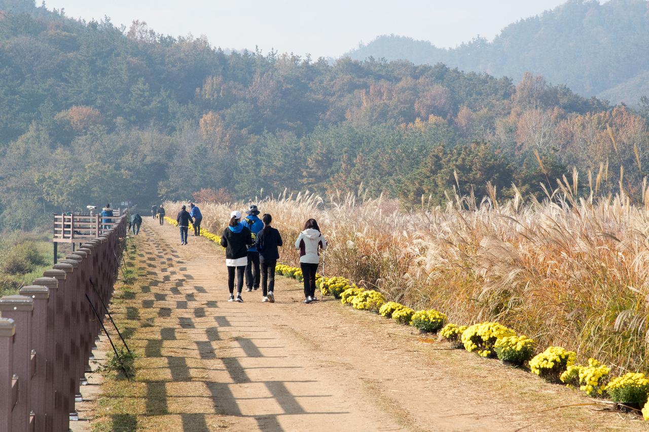 제10회 청암산 구슬뫼 전국등산축제