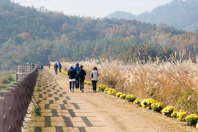 제10회 청암산 구슬뫼 전국등산축제