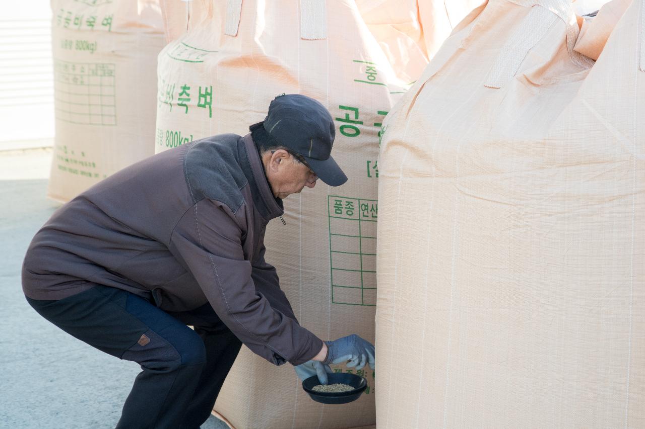 공공비축미곡 수매현장 방문