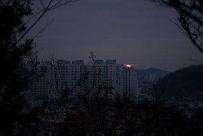 기해년 탁류길 해돋이 문화제