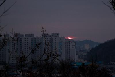 기해년 탁류길 해돋이 문화제