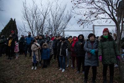 기해년 탁류길 해돋이 문화제