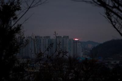 기해년 탁류길 해돋이 문화제