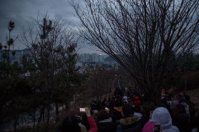 기해년 탁류길 해돋이 문화제