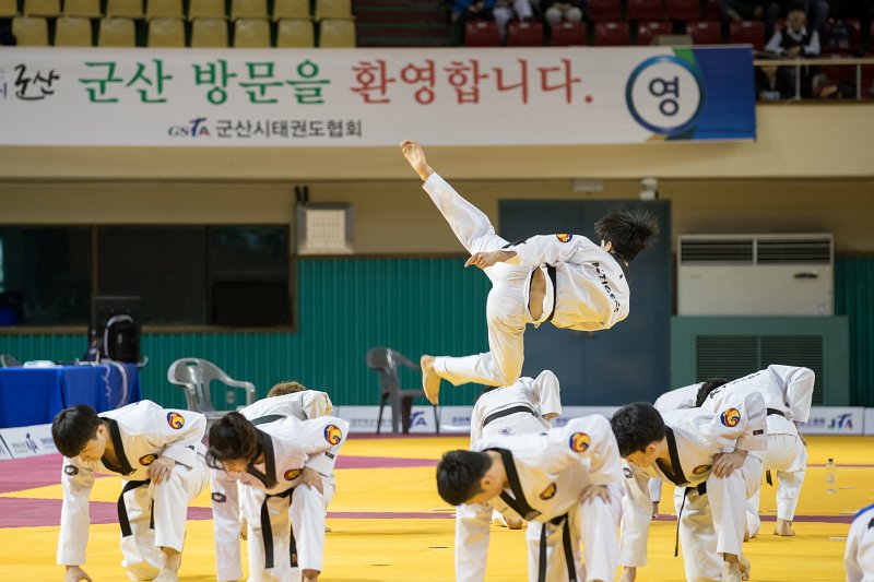 2019 군산새만금 전국 태권도대회