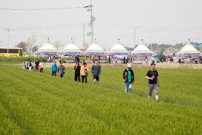 제14회 꽁당보리축제 개막식