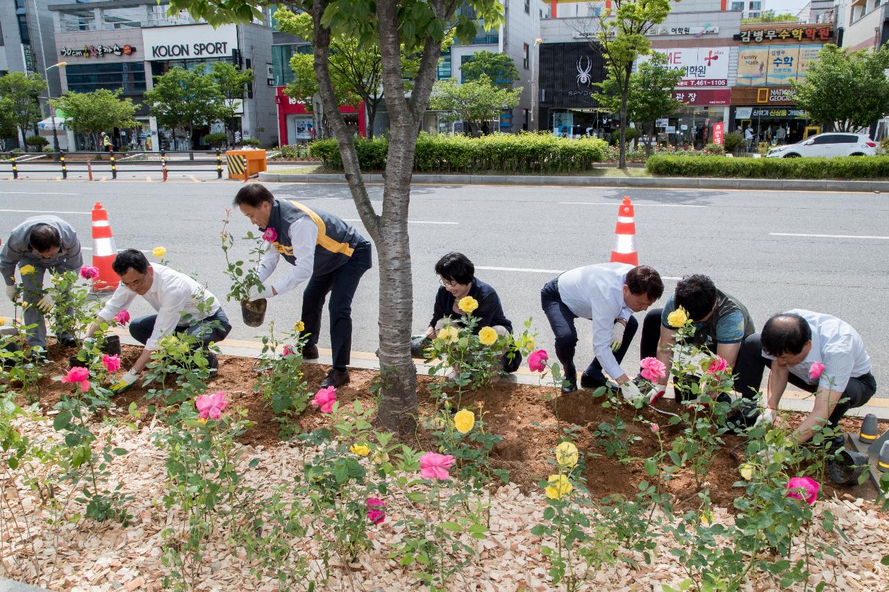 시민헌수 장미 식수행사